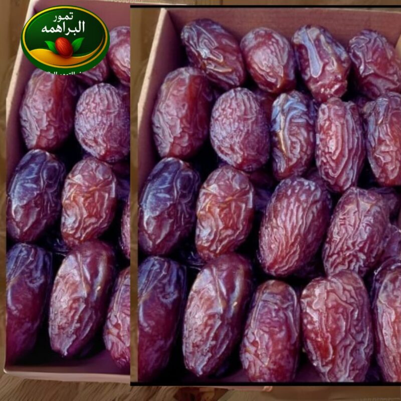 المجدول ملك التمور